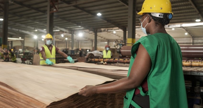ARISE IIP