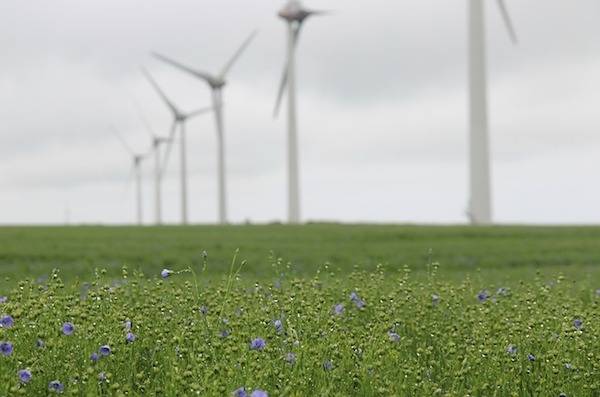 Champ vert avec 6 éoliennes en ap - 600