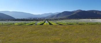 Des panneaux solaires développés par Reden Solar. © DR