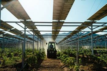 Sun'R est à la fois développeur et producteur indépendant d'énergie, spécialiste de l'agrivoltaïsme et fournisseur d’électricité verte en circuit court. © Sun'R