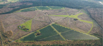 © Quercus Energies