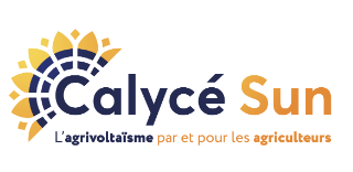 CALYCE SUN